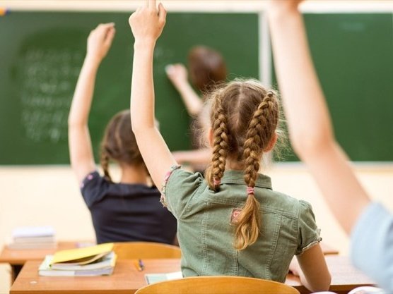 The need to build a better future for learning
#Schools #Passive
tinyurl.com/y6o93ae3