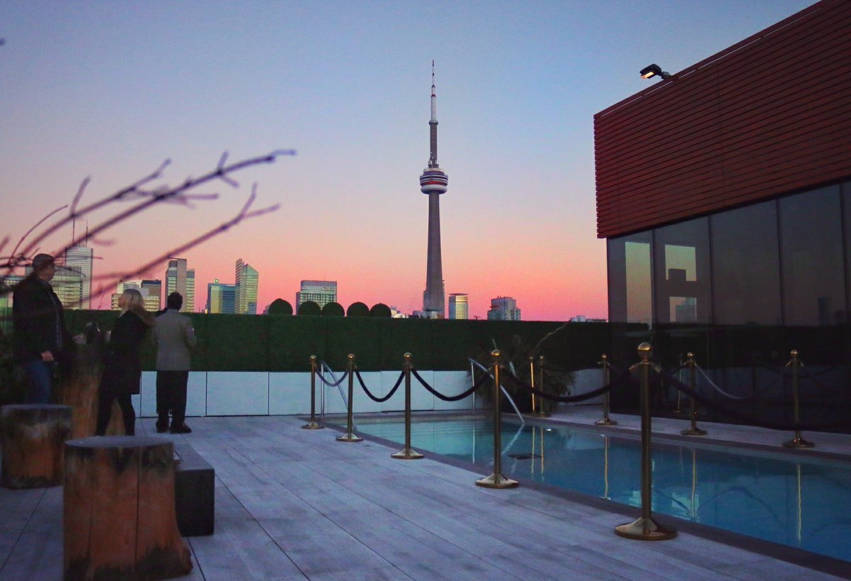 One Modern Couple tweet media