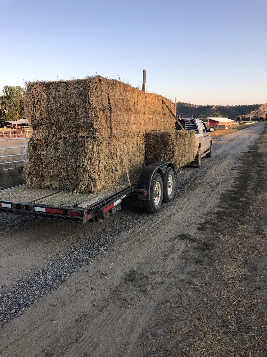 HamiltonStraw's tweet image. A happy #alfalfa hay customer heading down the road. We have hay for sale dm me for specific details on your needs