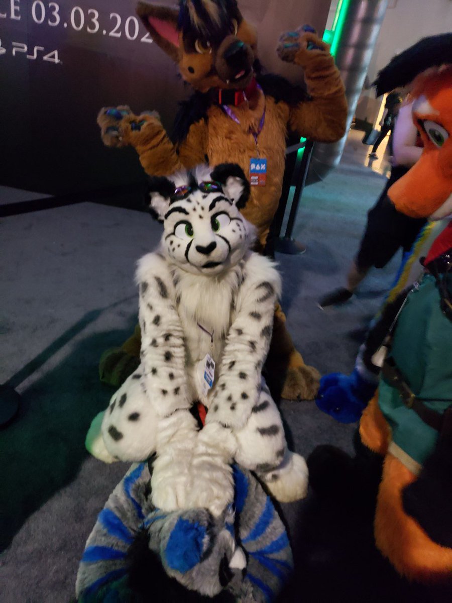 CheeImani's tweet photo. Cool day! Cool day! Ran into a buncha floofs! Thanks for letting me tag along 😸

Photos by @RaidenHusky https://t.co/HxcQSV6rN6