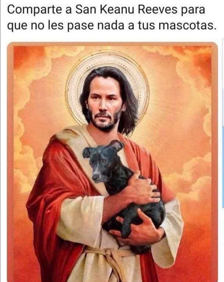 DFoxx25's tweet photo. Comparte esta wea para que San Keanu Reeves protega a tus mascotas https://t.co/4EAI14Dr67