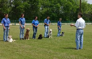 DownloadFreeInf's tweet image. braintraining4dogs.com/get-btfd/?hop=… America’s top professional dog trainers, a simple training strategy– Develops your Dog's "Hidden Intelligence" To eliminate bad behavior and Create the obedient, well-behaved pet of your dreams...
bit.ly/2Ztj1mf