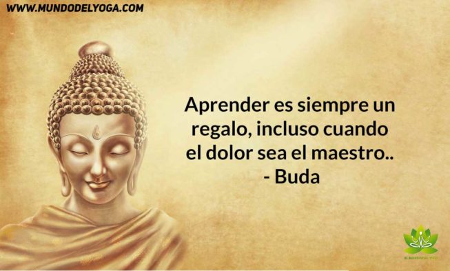 ???? ???????????????? ???????????????????????? on Twitter: "Buenas noches a todos, q tengan un  lindo sueño, sin odios y broncas q los perturben.. La vida es ahora, no  mañana...hagan lo q sientan y no