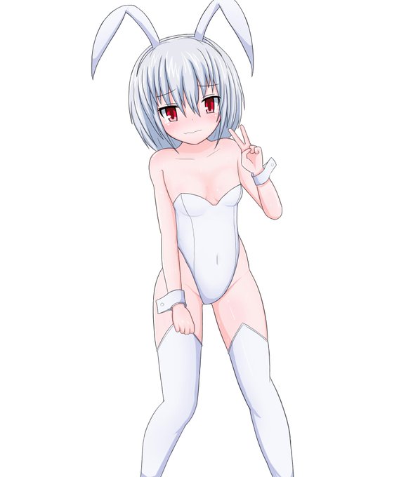 絵236号「白スクさん」
9月といえばお月見なのでバニー。露出の多い格好だから恥じらい多めに。

今日でお絵かき初めてから1年半となったのです。
最近作業速度が遅くなってて危機感を覚えるのです。 