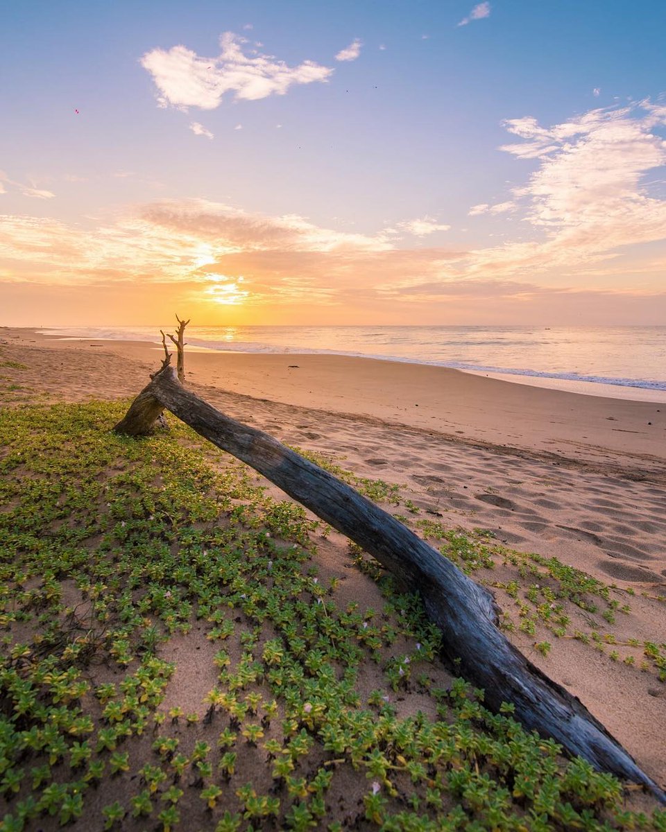 SLankax's tweet photo. Sri Lanka

#srilankax #srilanka_x #travel #instatravel #travelgram #instago #instadaily #thingstodoinsrilanka #visitsrilanka #travelsrilanka #srilankatrip #srilankatravel #srilankadaily #srilankatourism #exploresrilanka #attractionssrilanka 

📸 pradeep_gamage https://t.co/3SRWCBXj4t