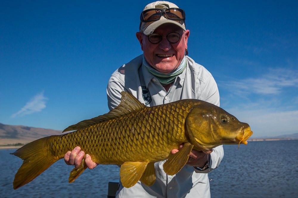 TroutOutfitters's tweet photo. Re:  Missoula, Montana Fishing Report for the week of 9/1/2019 - https://t.co/KRtBEvkyFw #flyfishingreport #montanafishingreport #missoulafishingreport #montanatroutoutfitters #carponfly #dryflyfishing #troutfishing #carp #trout #flyfishingmontana #flyfishingmissoula https://t.co/Hxf3nRFA47