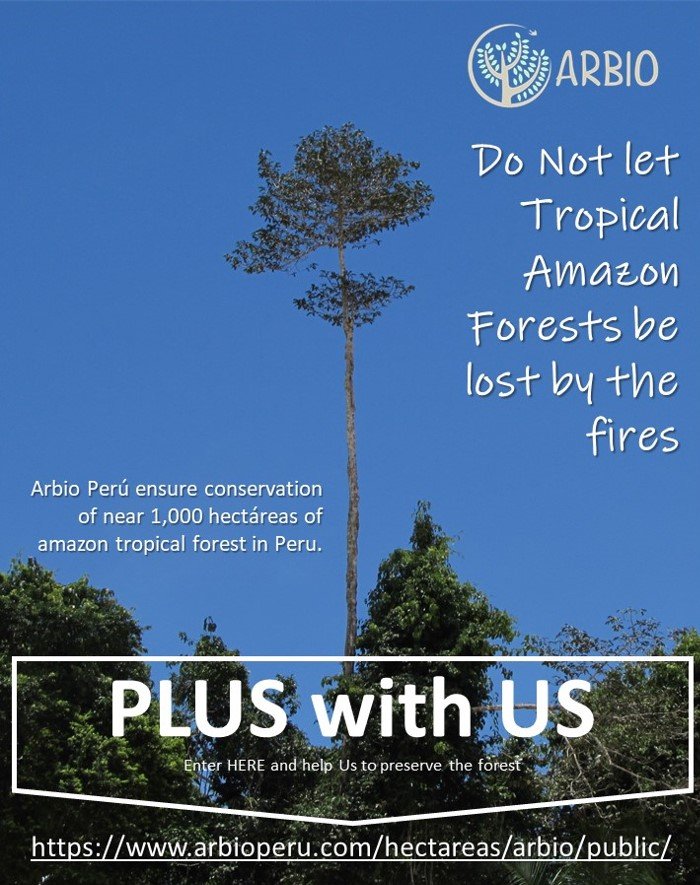 danielvalle98's tweet photo. Dear @leodicaprio: You're an amazing person, who cares tropical rainforest. Tatiana Espinosa is a Jane Goodall Prize this year, and she lead an initiative to preserve Amazon Forest in Peru. #PlusWithUs & help us to save amazon big trees before they burned https://t.co/qUq8JVD8xd https://t.co/hSP9iMWz33