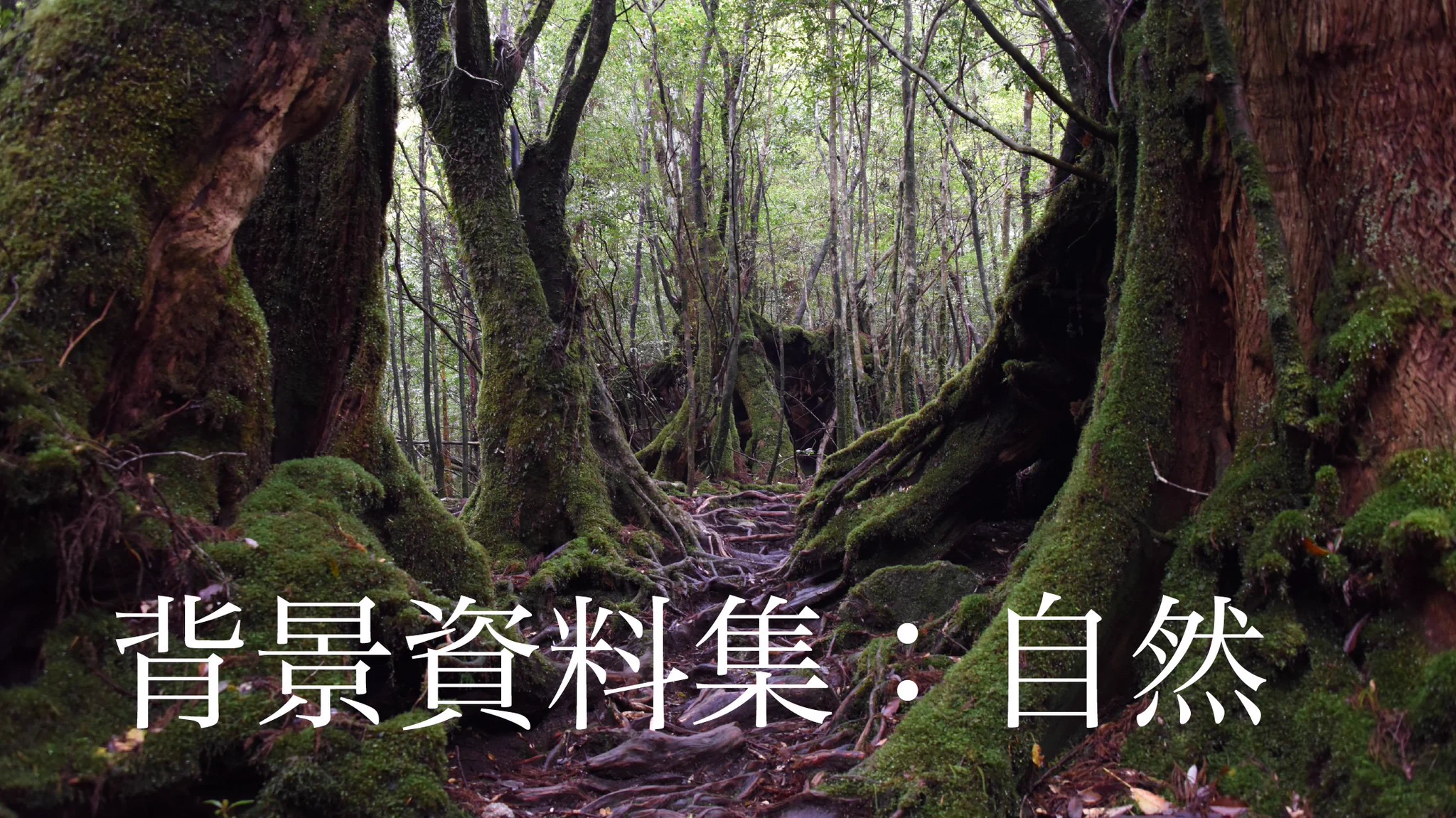 自然写真を収めた電子書籍の背景資料集。トレースや背景加工もOKだそうです。無料キャンペーンうれしいですね。