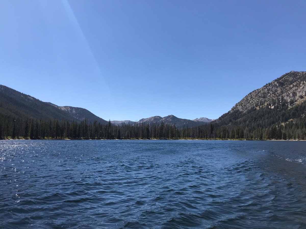 Grant Gager tweet media