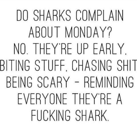 Timi_01's tweet photo. 💪🏽 😠 😠 yeaa, let's ge'it 😤. . .

 lol 😅 
#MondayMotivation https://t.co/hQp24elLAR