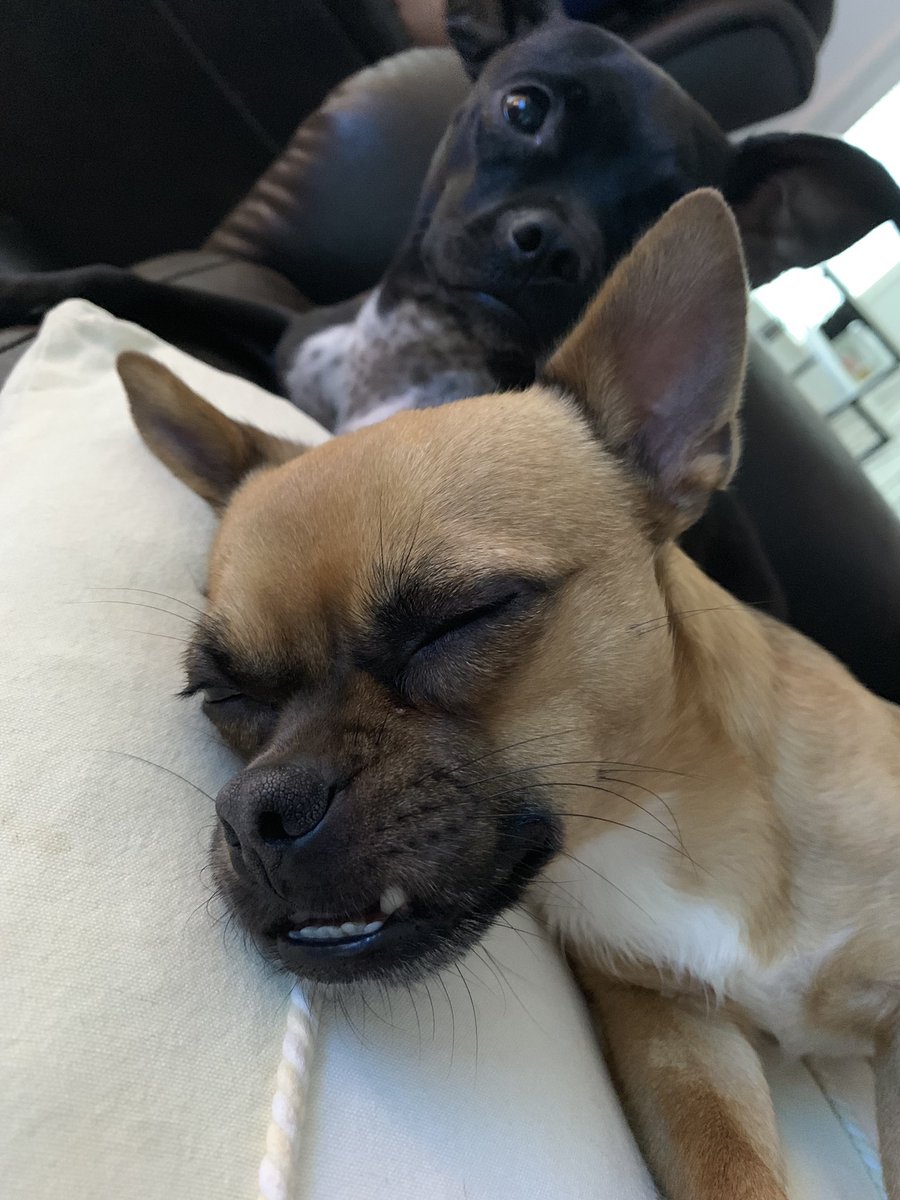 megglitz's tweet photo. It’s a wild night over here 💤 https://t.co/Cl4m5xYASJ