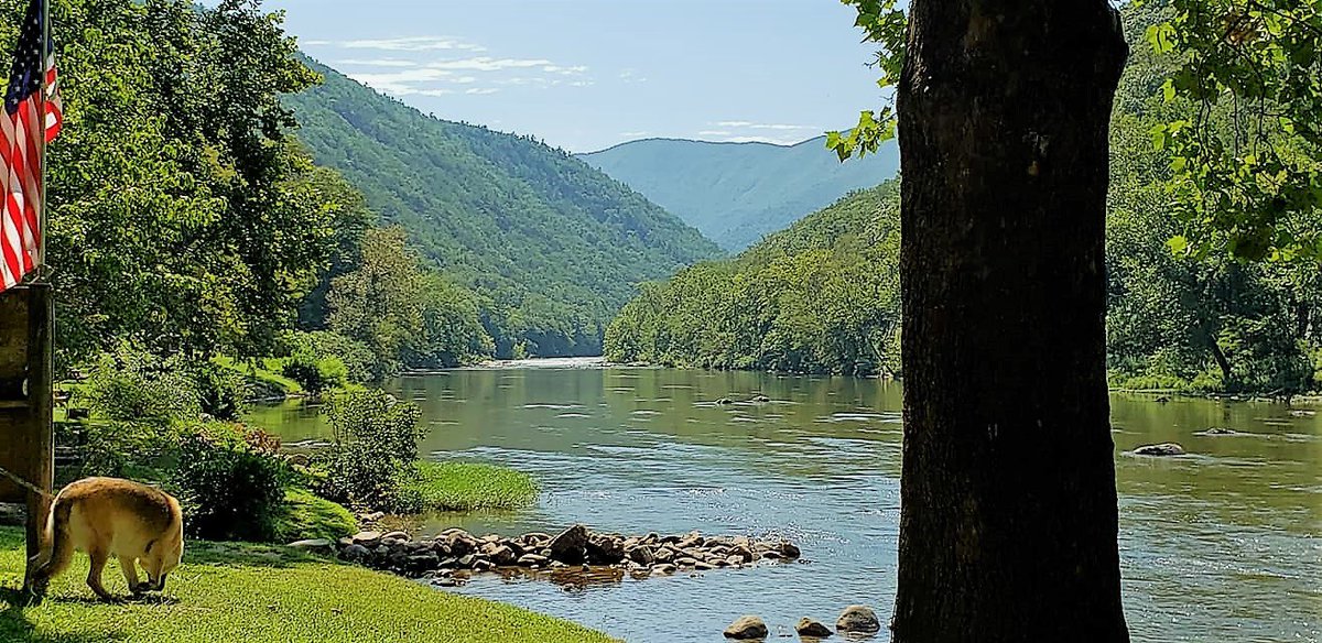 A new blog post is up! An Ultimate Guide to Northeast Tennessee! Unspoiled and uncrowded, you will find friendly people and lots of great adventures! 🐶🐶🐶 
Best of all it is Bo Approved and pet-friendly! borntobeboomers.com/an-ultimate-gu…