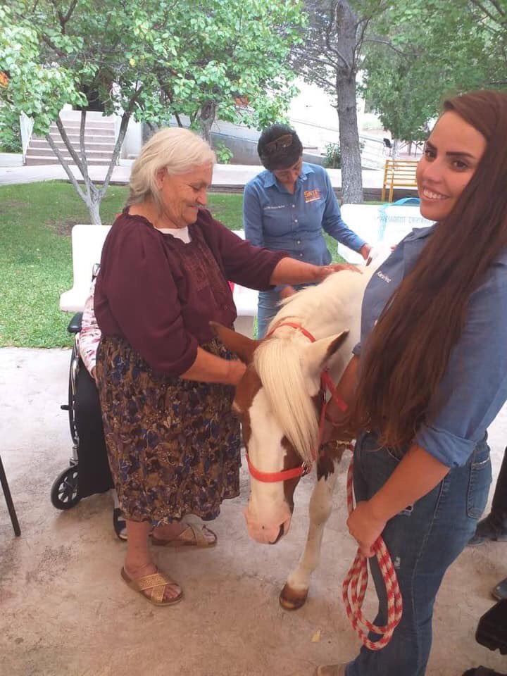FriasBencomo's tweet photo. Me encanta que Tun Tun, mi caballo favorito, no solo participe en las terapias de los niños q acuden al Centro de Equinoterapia “Yo levanto la mano por ti” si no q también sea protagonista de las actividades terapéuticas que desarrollan nuestros abuelitos del CIMAP Chihuahua🐴🖐🏻 https://t.co/4PPg2qHd4X
