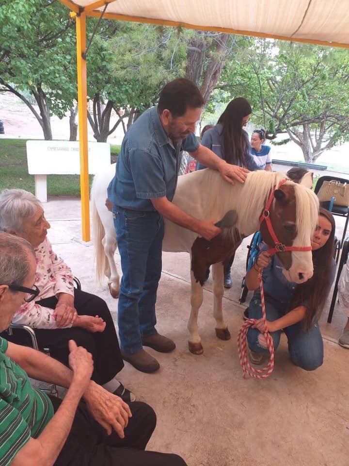 FriasBencomo's tweet photo. Me encanta que Tun Tun, mi caballo favorito, no solo participe en las terapias de los niños q acuden al Centro de Equinoterapia “Yo levanto la mano por ti” si no q también sea protagonista de las actividades terapéuticas que desarrollan nuestros abuelitos del CIMAP Chihuahua🐴🖐🏻 https://t.co/4PPg2qHd4X
