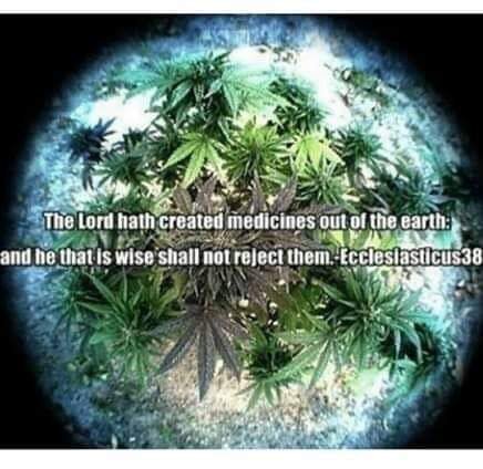 MimiTexasAngel's tweet photo. @tedcruz Right to Life is not working with these #Malevolent #Domonion men and women making our laws ~ Cannabis like the plant Kale is a Vegetable #God gave us Genesis 1:29 🕊 They are #NonBelievers #Grifters #Bernie2020 #WeThePeople https://t.co/808HcMRvUq