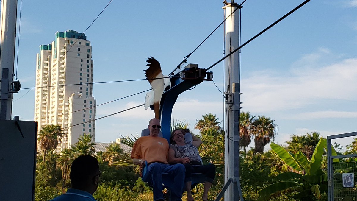 acesouthcentral's tweet photo. Evening ERT during ACE #BeachCon 2019 at @Schlitterbahn South Padre Island. #BahnLove #FloatWithACE #RideWithACE #TheACEadvantage @aceonlineorg https://t.co/6Or00FoYtw