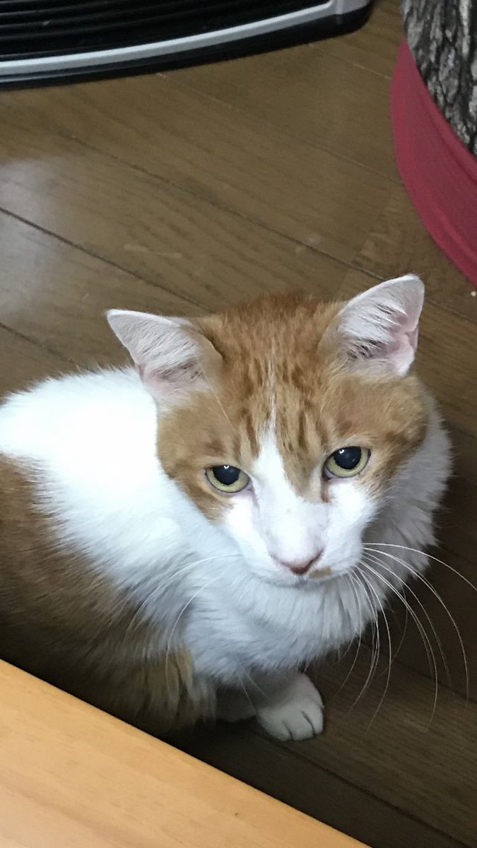 阪急オアシス石屋川店