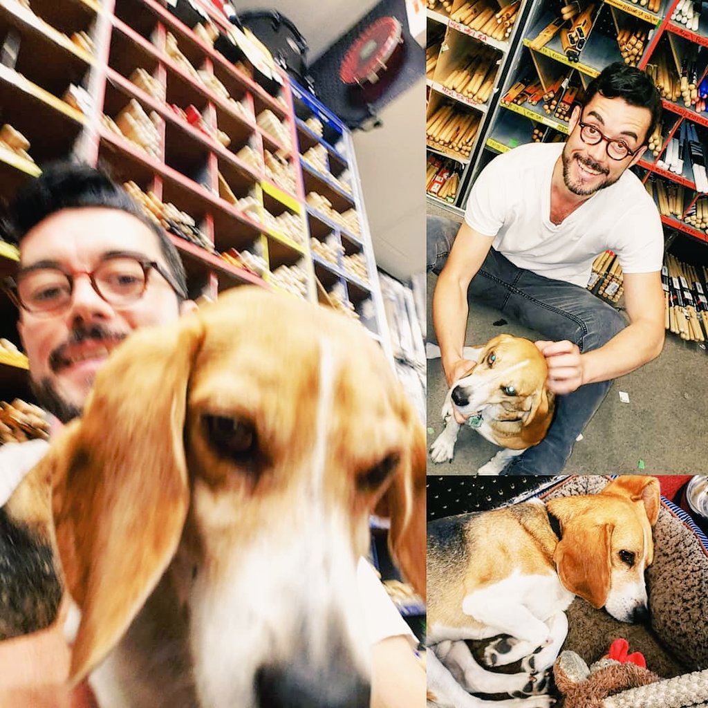 #internationaldogday 🐕
GUNNER the shop dog!
#drumdog #doggo #beagle #beagleface
#snoopdoggydogg