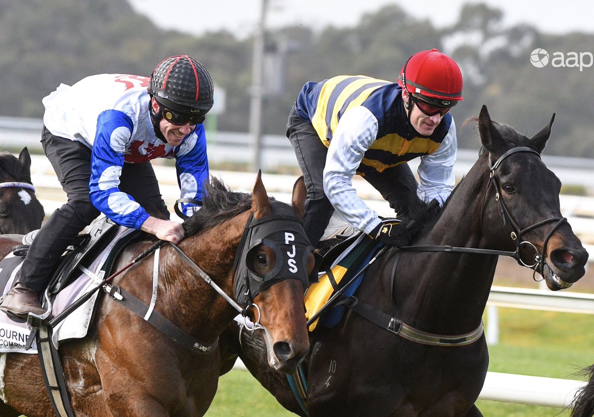 Vinnycenzo_71's tweet photo. Two horses to put a smile on your face, John Allen on Mr Quickie &amp; Mark Zahra winning on Harbour Views 😊😊 #Springtrials🏆 https://t.co/HTDhx9XLYS