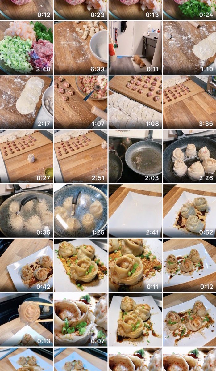 Shrimp and ground pork dumplings. These videos tire me but I love watching them afterwards.