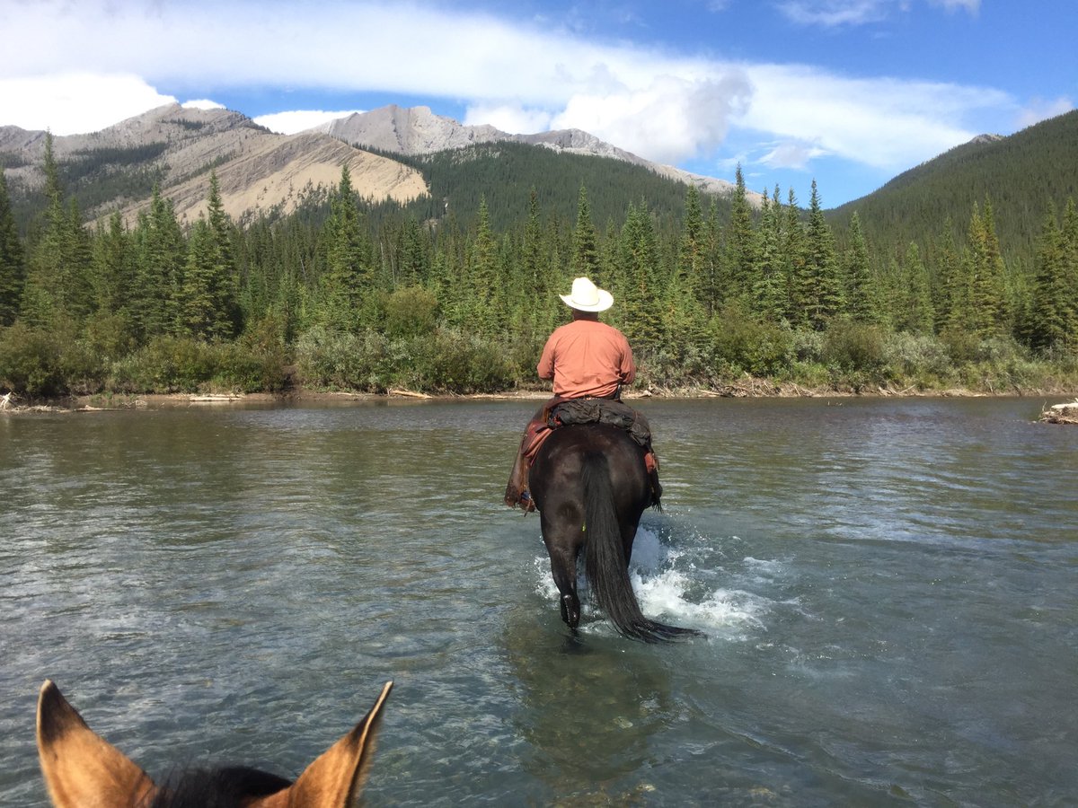 Derek Benedict tweet media