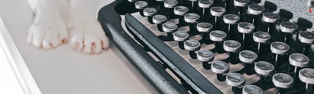 Typing letters with paws are a rather difficult task.