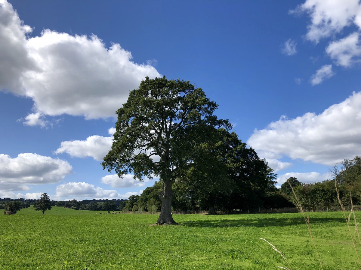 MichelleXie3's tweet photo. #helloseptember #SundayAfternoon at #Poltimore #Exeter #charming #village @visitexeter @GreatDevonDays @Devon_Hour @visiteastdevon @VisitDevon #iloveexeter #british #countryside #beautifulDevon ❤️ https://t.co/2OePKd0U03