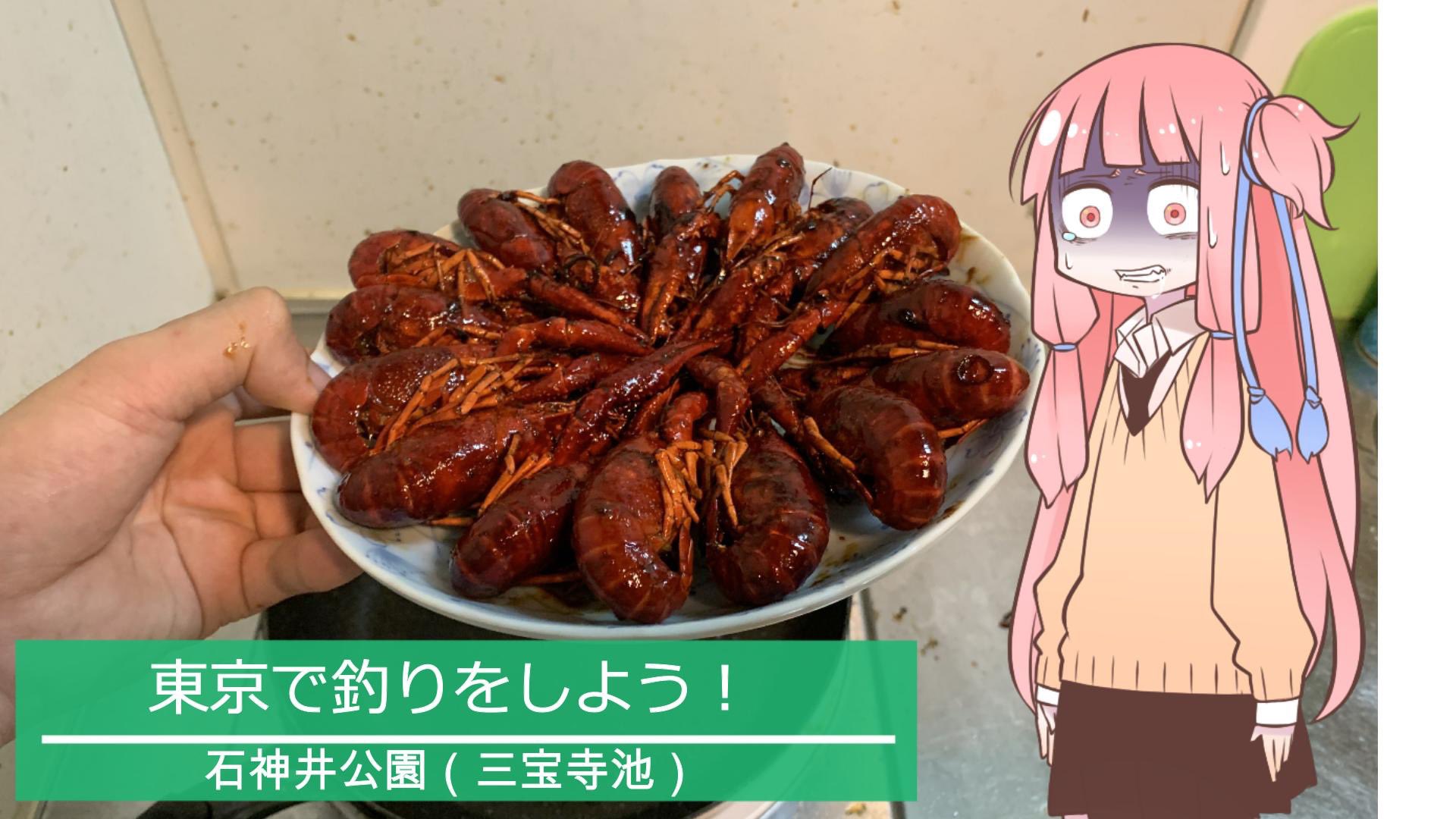 ムキロマ 東京で釣りをしよう 第4回 石神井公園 前編 Sm ニコニコ動画 T Co Uaksroeefb 投稿しました ザリガニ料理は自己責任でお願いします T Co 7tg6nkg5u0 Twitter