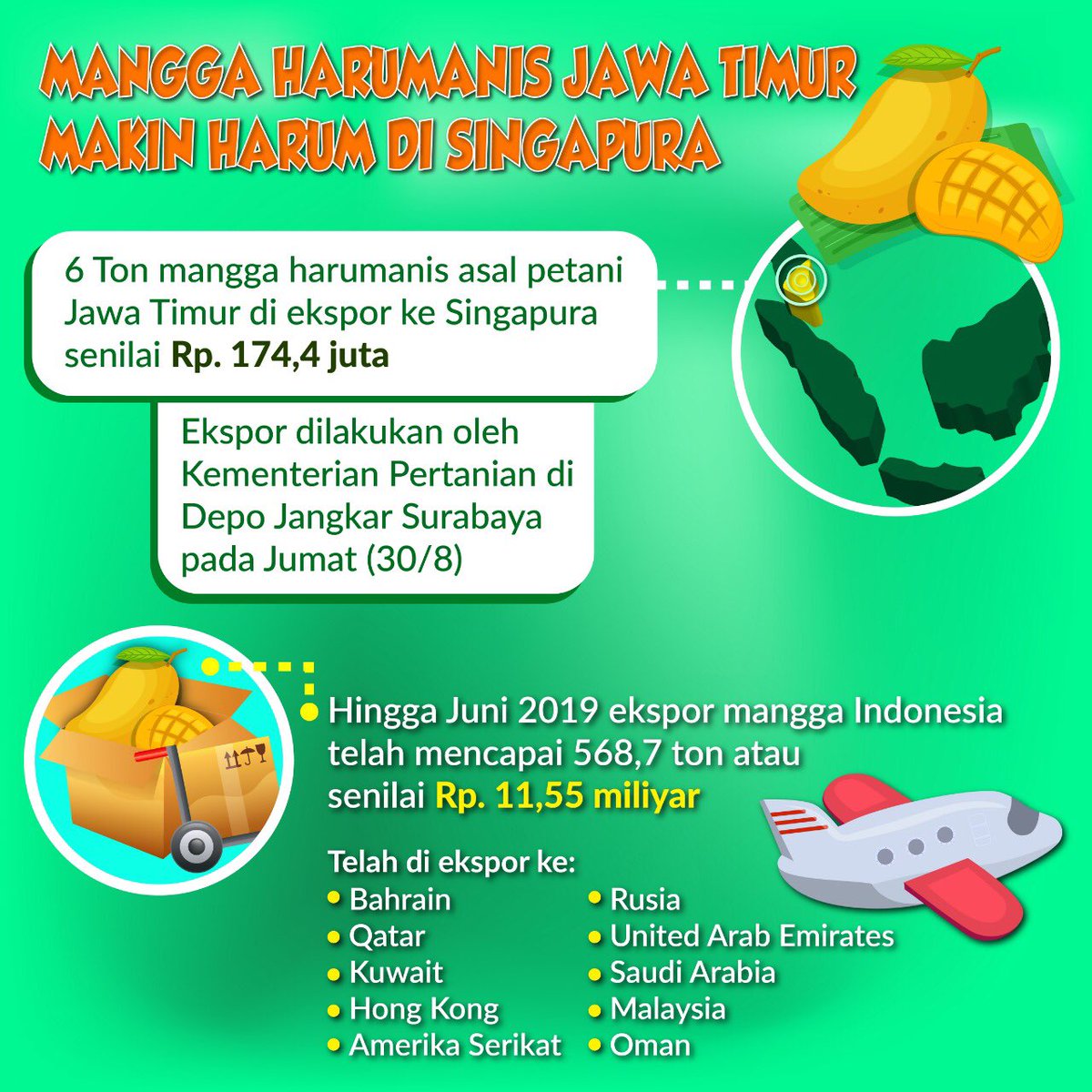 Mangga Harum Manis asli Indonesia ini ternyata disukai di Singapura. Keren! #MentanBapaknyaPetani