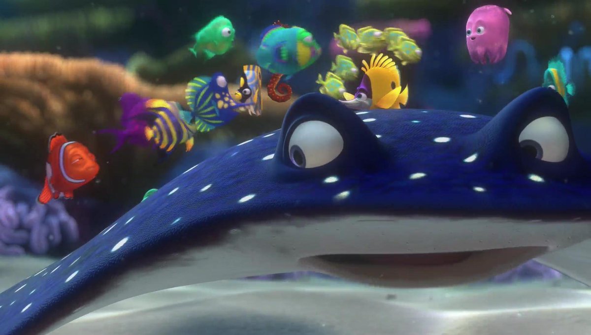 alex_d44's tweet photo. @aqualarochelle Belle et douce rentrée à vous aussi! 🐳🐬🐟🧳 https://t.co/VPXQFblLuR