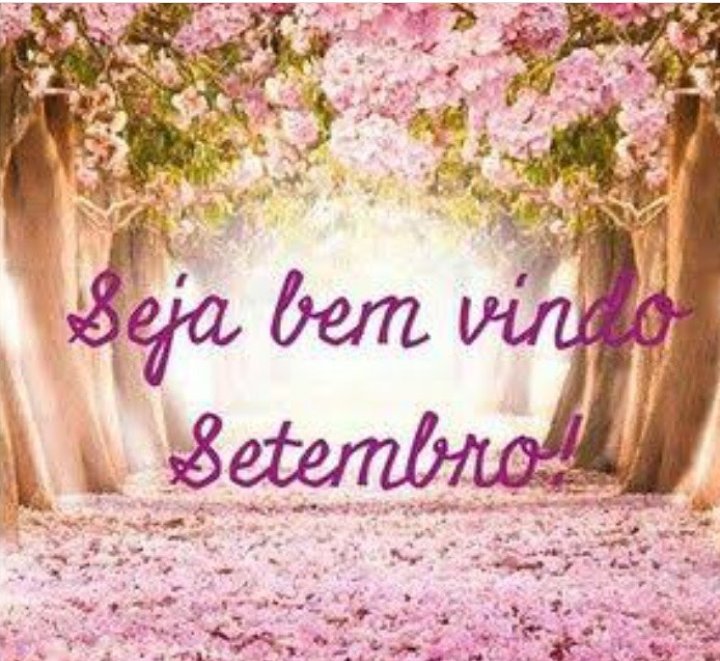 MaisCleo's tweet photo. Lindo setembro 🌼🌻🌷🌹 https://t.co/Z1rfnC7gCW