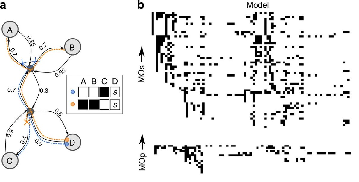 Nature Communications A Null Model Of The Mouse Whole Neocortex Micro Connectome T Co Hlotducajd From The Bluebrainpjt Neuroscience T Co Ywuybfyyd8