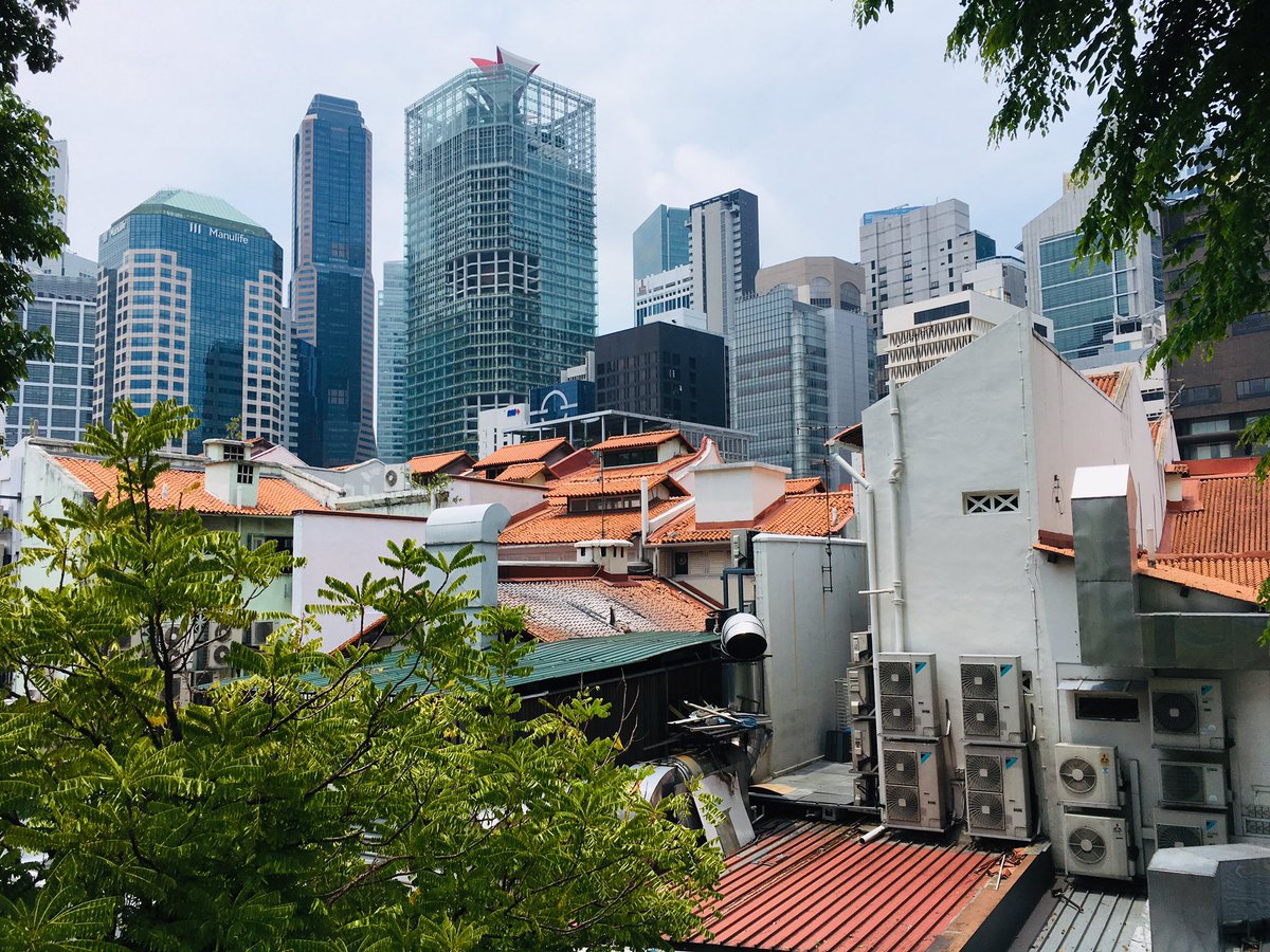 Singapore, the city that brings all range of socio-political, economic, environmental and geopolitical issues together. In this picture: #landreclamation #airconditionedcity #realestate #globalfinance #heritageconservation #gentrification #race #ethnicity #climatechange