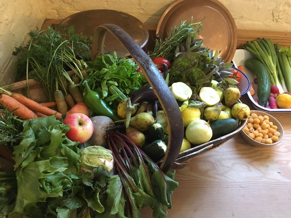 HistoricalHippo's tweet photo. Our last of the salad recipes. Sept is all about seasonal fruit and veg @EHAudleyEnd @pastpleasures1 #salamagundy #victoriancooking #historicalinterpretation #historickitchens #mayonnaise #MrsCrocombe https://t.co/2hvvB0iKvL