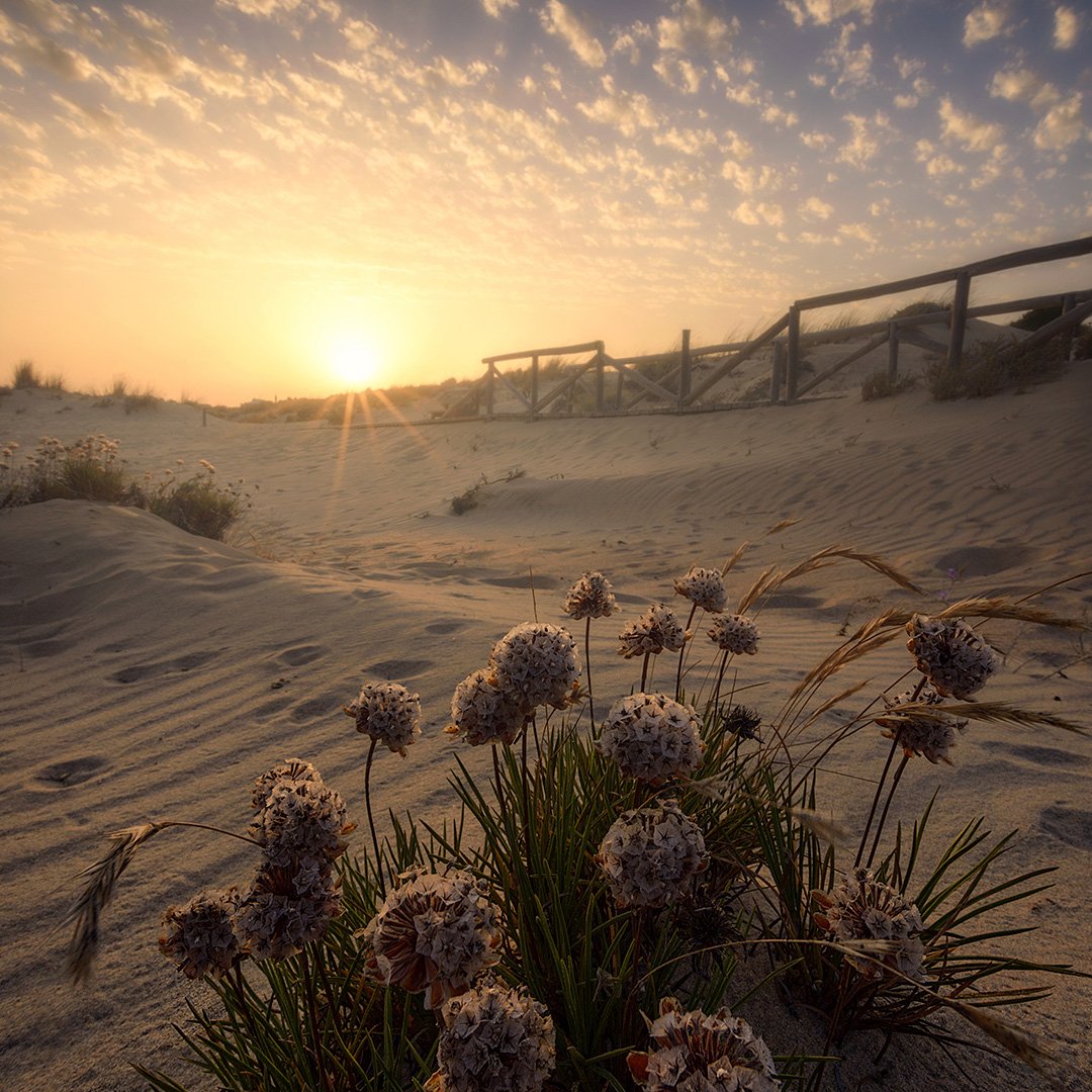 Y casi sin darnos cuenta se marchó #agosto 👋🏻 ¿Ya lo echas de menos?
⠀⠀⠀⠀⠀⠀⠀⠀⠀
📸 fernandormfoto (en Instagram)
⠀⠀⠀⠀⠀⠀⠀⠀⠀
#SienteHuelva #HuelvaLaLuz #HuelvaMuchoQuever