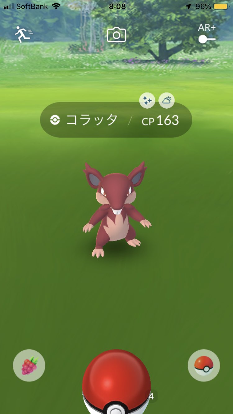 組長 ポケモンgo 皆様お疲れ様です 出勤前に自宅で色違いコラッタget 早速進化させました 皆様にも色違いが出ますように ポケモンgo 色違いポケモン ポケモン進化 コラッタ ラッタ T Co Dckfjmm6c2 Twitter 組長 ポケモンgo 皆様お疲れ様です 出勤前に自宅で色違いコラッタget 早速進化させました 皆様にも色違いが出ますように ポケモンgo 色違いポケモン ポケモン進化 コラッタ ラッタ T Co Dckfjmm6c2 Twitter
