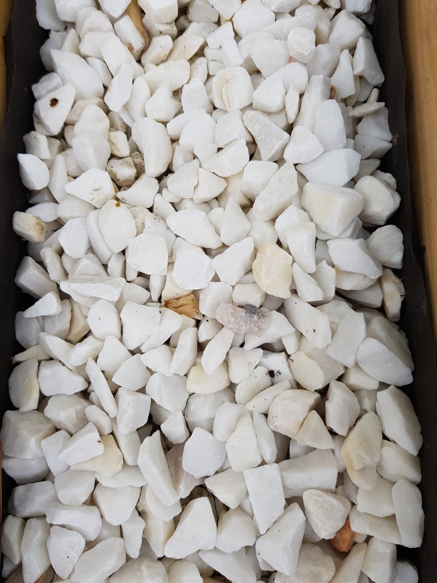 Websters Timber tweet media