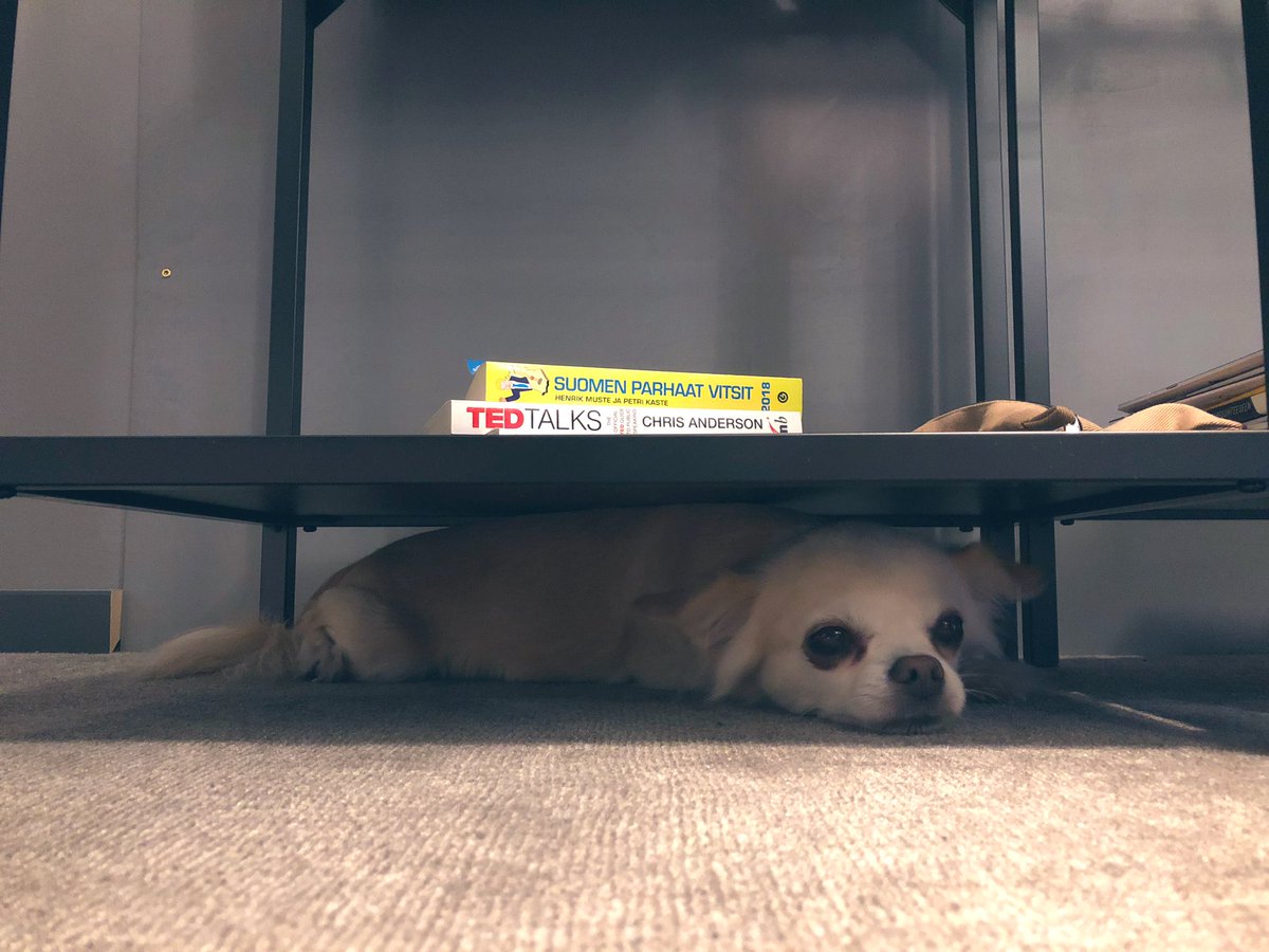 Maanantai 🌚

Kummasta kirjasta mahtaa olla enemmän apua vallitsevaan haikeuden olotilaan?