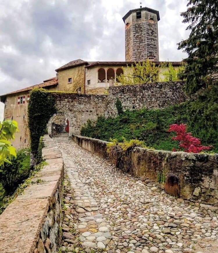 Val di Non tweet media