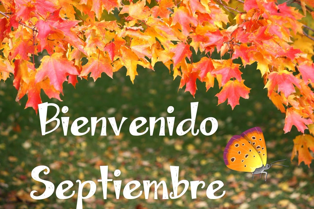 GeeRRHH's tweet photo. Comenzamos un nuevo mes, pero no un mes cualquiera, ¡es el mes de los propósitos! Estudiar idiomas, apuntarse al gym, ponerse a dieta, dejar de fumar... Septiembre nos da la oportunidad de ponernos nuevos. Y tú, ¿ya tienes los tuyos en mente?
#ByeByeSummer #WelcomeSeptember https://t.co/TODggM35KX