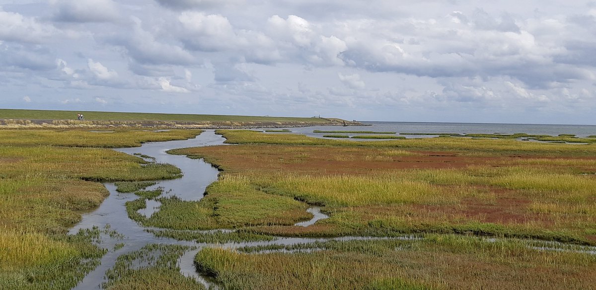 Even een korte vakantie op Terschelling.
Mijn eiland..