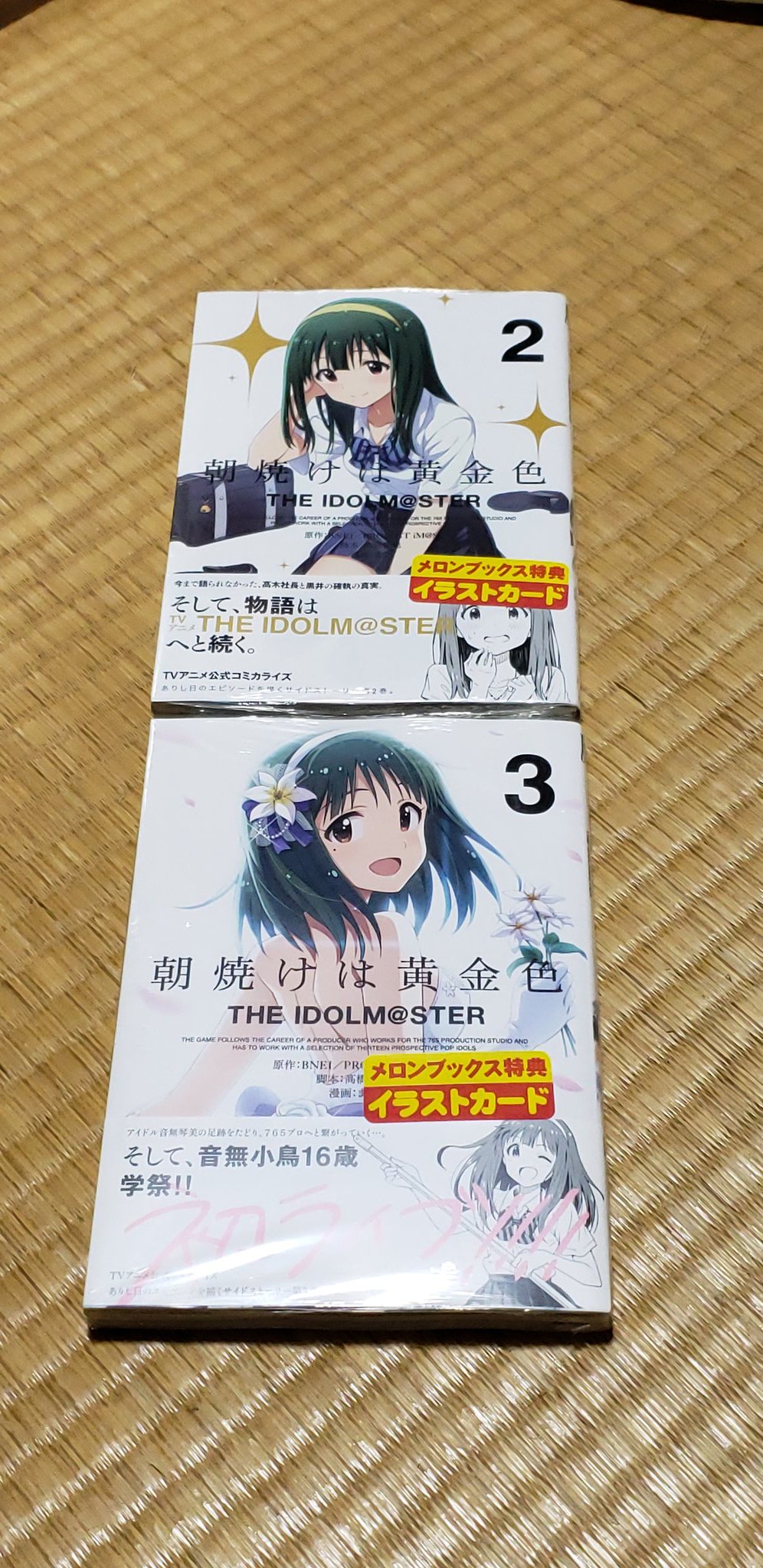 メガミマガジンRX 13 メガミマガジンRX 13 メガミマガジンRX Vol.13 2023年 11 月号