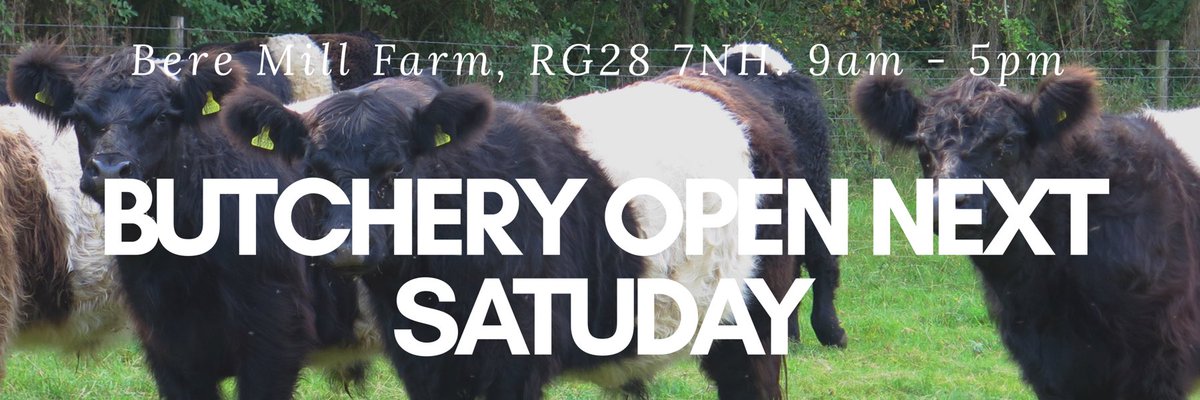 Bere Mill Farm and Garden tweet media