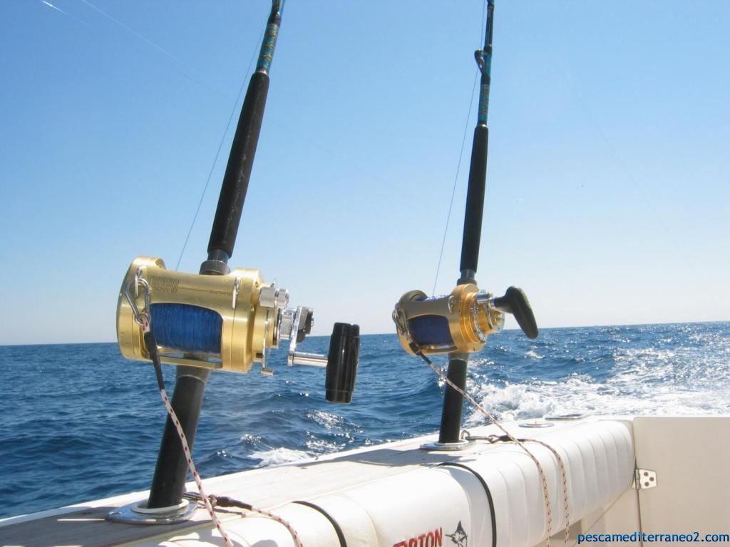 pescamed's tweet photo. Cómo elegir carrete y línea para nuestro equipo https://t.co/2eGrytBq4e #pesca #pm2 https://t.co/VrlPYOQxpb