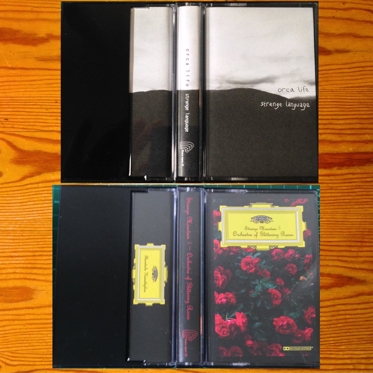 flueretapes's tweet photo. Out on the Harvest Moon Sept. 14th an Ambient duo tape batch release of abundant reapings, 
Orca Life ~ Strange Language (ft14) &amp;
Strange Mountain ll ~ Orchestra of The Glittering Roses (ft15). 
https://t.co/6KEPJsiJ3A https://t.co/eNagj63DOT