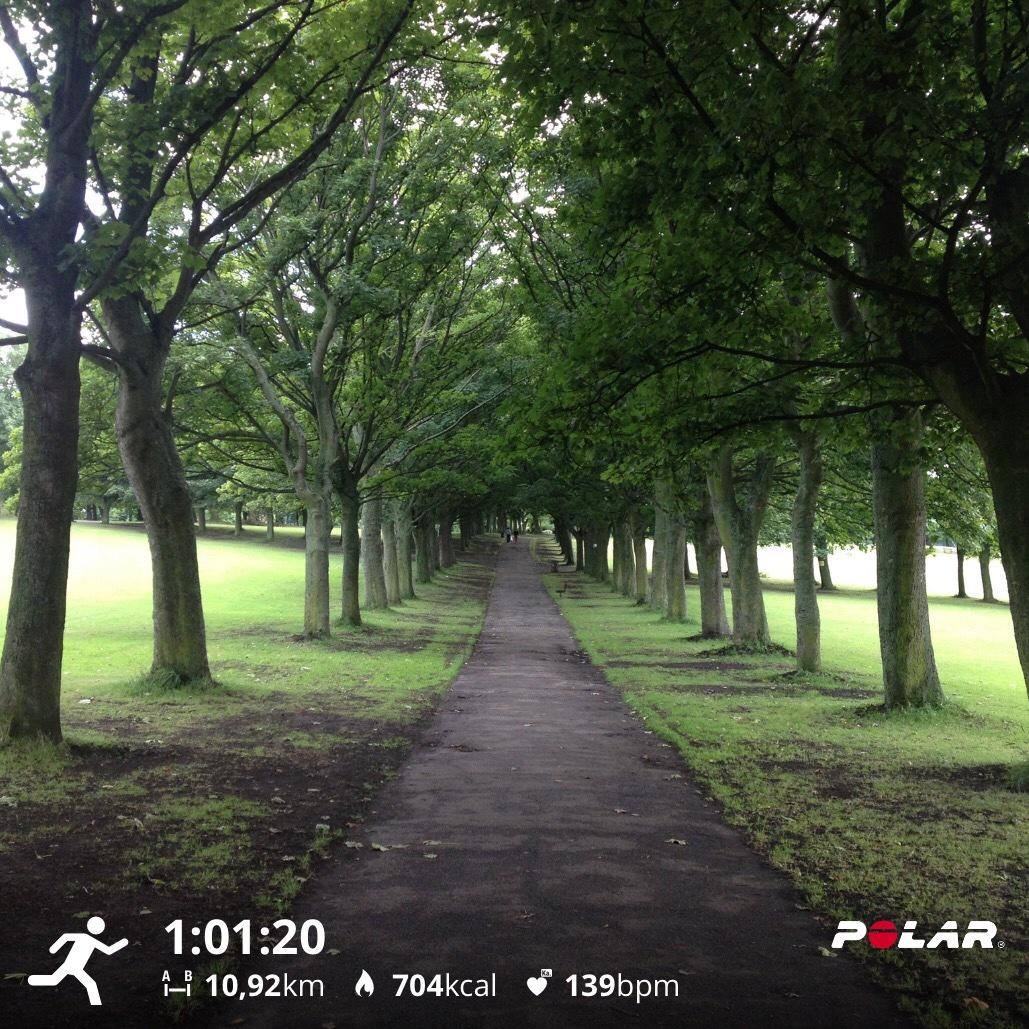 Einige von uns bevorzugen es, die Natur zu genießen, während andere während ihrer Laufsession gerne in den City-Groove eintauchen. Manchmal kann man sogar beides in einer Trainingsstrecke vereinen. 😉 🛤️ ⛰️

Wo lauft ihr am liebsten und warum?
