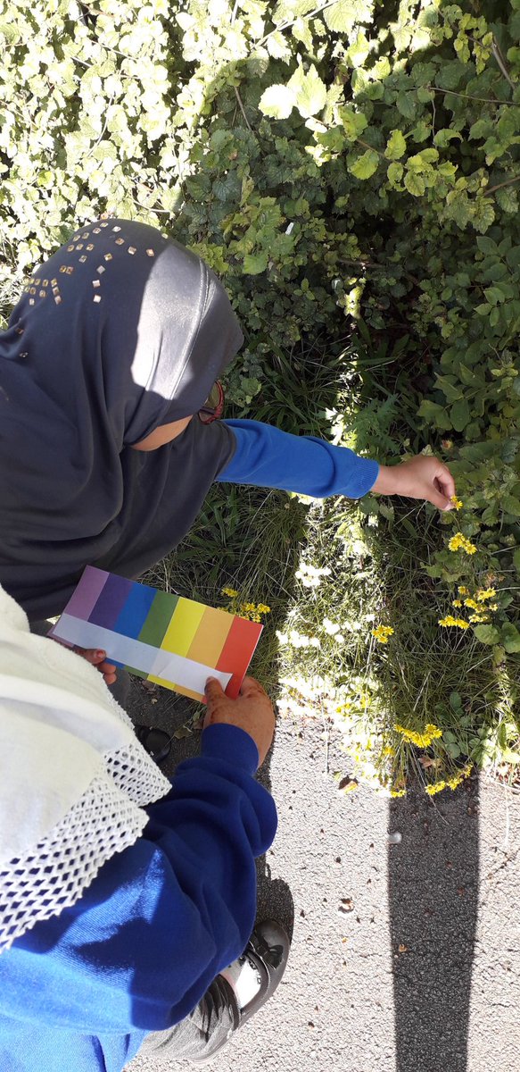 Rowlatts_TMET's tweet photo. Year 3/4 are exploring the grounds on a nature walk looking to match colours to their rainbow strip #rhscience #rhnature #rhoutdoorlearning #collaboration #curiosity https://t.co/qE606Y0kRT