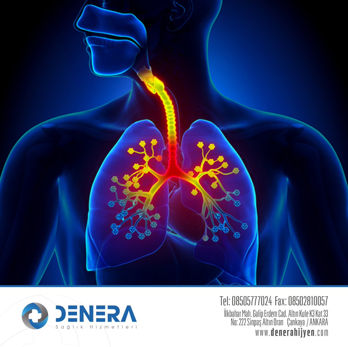 Havalandırma Sistemleri İle Bulaşabilecek Hastalıkların Farkında mısınız?

Denera Hijyen ortak kullanım alanlarınızın temizliğini sağlayarak hijyenik bir yaşam sunuyor.

Detaylar : denerahijyen.com

#Hijyen #Sağlık #Dezenfektan #Ekipman #Temizlik  #bulaşıcıhastalık