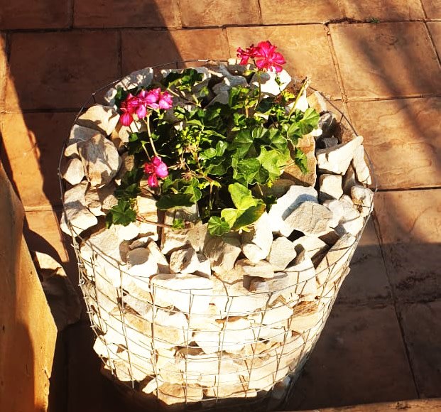 BakwenaSpa's tweet photo. Spring has definitely arrived here at Bakwena Day Spa, Velmoré Hotel & Spa. We wish you all a very happy Springtember!
-
-
-
#Spring #BakwenaExclusiv #BakwenaSpa #PureIndulgence #Springtember https://t.co/CjSZIa1iqk