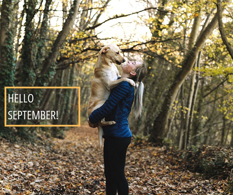 🍂 September is here! 🍂 
🍂 🍁 The perfect time of the year to spend more time in the park with your beloved pet. Long refreshing walks and happy moments! Start sharing the love!